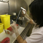 Una científica trabaja en la investigación sobre el virus de la gripe aviaria, en el Hospital Clínic, en una imagen de archivo.