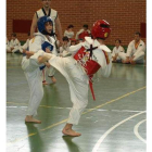 Un momento de la exhibición de taekwondo.