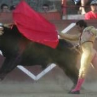 José Padilla torea de muleta al primer toro que le correspondió en suerte