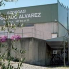 Aspecto de la bodega desde la zona a la que llega la uva en uno de los laterales.