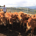 Un criador de ganado vacuno en la comarca berciana