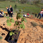 Los reforestadores noveles plantaron ayer mostajos y pradairos en 15.000 metros de terreno del Bosque de Los Barredos