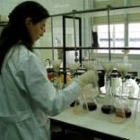 La mujeres ocupan pocos puestos de alta responsabilidad en la investigación científica