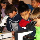 Varios escolares miran por las lupas binoculares en el laboratorio del IGM. IGM