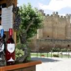 Los vinos Tierras de León siguen siendo objeto de trabajo de futuro