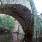 Puente romano de Torre del Bierzo cubierto por una enredadera