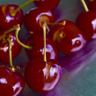 Las cerezas tienen un amplio recetario que abarca sabores dulces y salados.