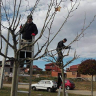 Los trabajadores realizan prácticas en los jardines. DL