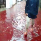 La sangre de los sacrificios de animales y la lluvia inundan las calles de Dacca (Bangladés).