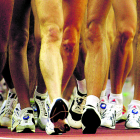 Musculosas piernas de los participantes en la final de los 50 kilómetros marcha, en el Estadio Olímpico de Sydney. EMILIO MORENATTI