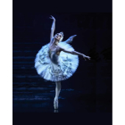 El Ballet Clásico Internacional ofreció ayer ‘El lago de los cisnes’ en el Teatro Bergidum de Ponferrada.
