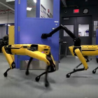 Boston Dynamics ha lanzado una nueva versión de su perro colabora con otros perros para abrir puertas y escapar.