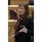 Leire Pajín, durante una sesión en el Senado.