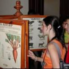 Alumnos del curso observan las láminas de la escuela de Soto de Sajambre