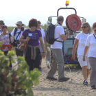 Caminantes recorriendo un tramo de la Ruta Jacobea en el Bierzo que discurre entre viñedos.