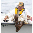 Un pelícano cubierto de petróleo es incapaz de volar y nadar, en East Grand Terre, Luisiana.