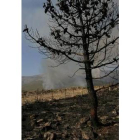 Los incendios causados en el Teleno han provocado el miedo vecinal