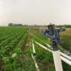 Una explotación agrícola de Toral de Fondo, donde ayer se había instalado el sistema de riego