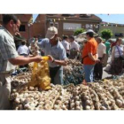 La Feria del Ajo de Santa Marina del Rey ya se ha convertido en imprescindible dentro del calendario