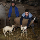 ‘Pepín’ Carrera y su nieto Luis Jorge, ayer con la oveja y los tres corderos de su última camada.