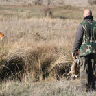 La temporada de caza menor transcurre en clave desigual en la provincia leonesa. RAMIRO
