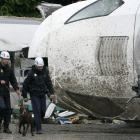 Agentes de la Policía Científica ayudados de perros prosiguen las investigaciones del tren.