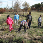 Los escolares participan en la plantación de abedules y robles.