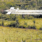 Un avión fumiga con glifosato una plantación.