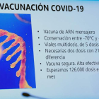 La consejera de Sanidad, Verónica Casado, presenta el plan de vacunación. NACHO GALLEGO