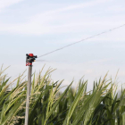 Imagen de un aspersor regando una parcela de maíz de la provincia. marciano pérez