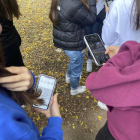Niños y niñas miran el móvil