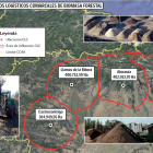 Centros logísticos comarcales de biomasa forestal