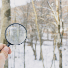 holding a magnifying glass on the background of the winter forest