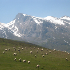 Una ganadería de montaña de Picos de Europa.