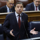 El ministro de Agricultura, Luis Planas, interviene en la sesión de control al Gobierno este miércoles en el Congreso.