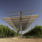 Unos técnicos trabajan en unos paneles solares del proyecto agrovoltaico 'WineSolar' de Iberdrola en los viñedos de Bodegas González Byass y el Grupo Emperador en Guadamur, Toledo.