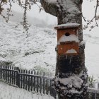 Nieve en Ferreras del Puerto.