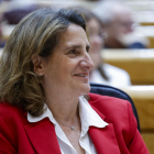 Imagen de archivo de la vicepresidenta tercera y ministra de Transición Ecológica y el Reto Demográfico, Teresa Ribera. EFE/ Mariscal
