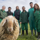 El científico asturiano Pablo Gutiérrez Toral junto al equipo de investigadores del Instituto de Ganadería de Montaña del CSIC en León y la oveja Chuchi.