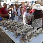 La popular Feria del Ajo de Santa Marina del Rey, el evento imperdible para estas vacaciones.