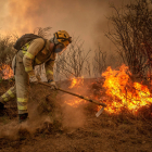 Bomberos forestales realizan labores de extinción en un incendio. Archivo EFE/Brais Lorenzo