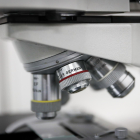 Vista de un microscopio en un laboratorio, en una fotografía de archivo. EFE/Raúl Martínez