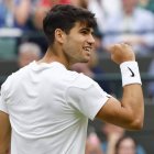 Carlos Alcaraz celebra su victoria ante Aleksandar Vukic.