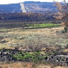 Fotografía de archivo de la zona quemada del incendio forestal que hace dos años arrasó la Sierra de la Culebra de Zamora. EFE/Mariam A. Montesinos