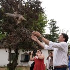 El consejero de Medio Ambiente, Vivienda y Ordenación del Territorio, Juan Carlos Suárez-Quiñones, visita las instalaciones del Centro de Recuperación de Animales Silvestres (CRAS) de Valladolid y participa en la puesta en libertad de un ejemplar de milano negro.