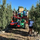 Una de la cuadrillas de trabajadores en una parcela de pera conferencia en El Bierzo.