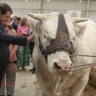 Fernández Mañueco, presenta el inicio de la Feria del sector agoropecuario SALAMAQ 24, en el recinto ferial de Salamanca.