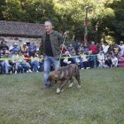 Uno de los mastines ganadores del certamen de Los Barrios de Luna