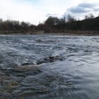 El río Omaña y sus riberas está considerado como Lugar de Interés Comunitario (LIC). dl