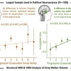 Gráfico del artículo publicado en iScience que analiza la correlación entre la idiología política y la estructura cerebral. Fotografía facilitada por Petropoulos Petalas et al./iScience. EFE